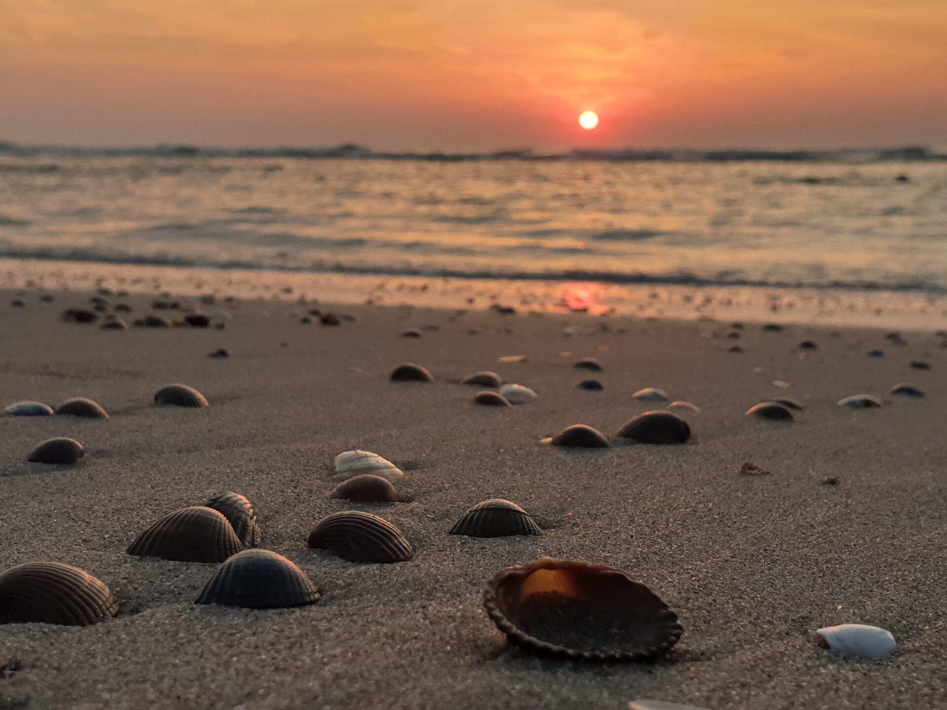 Strand in der Region Zeeland
